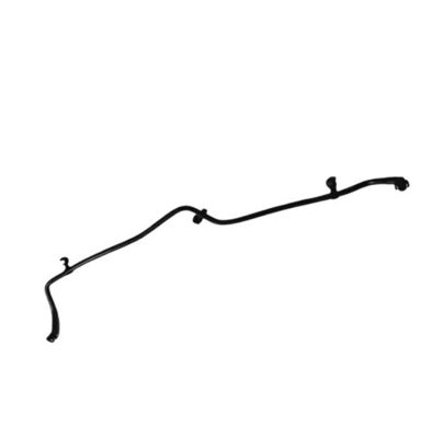 الاسم